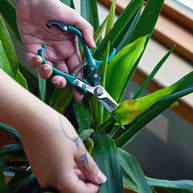 Modern Sprout Garden Shears