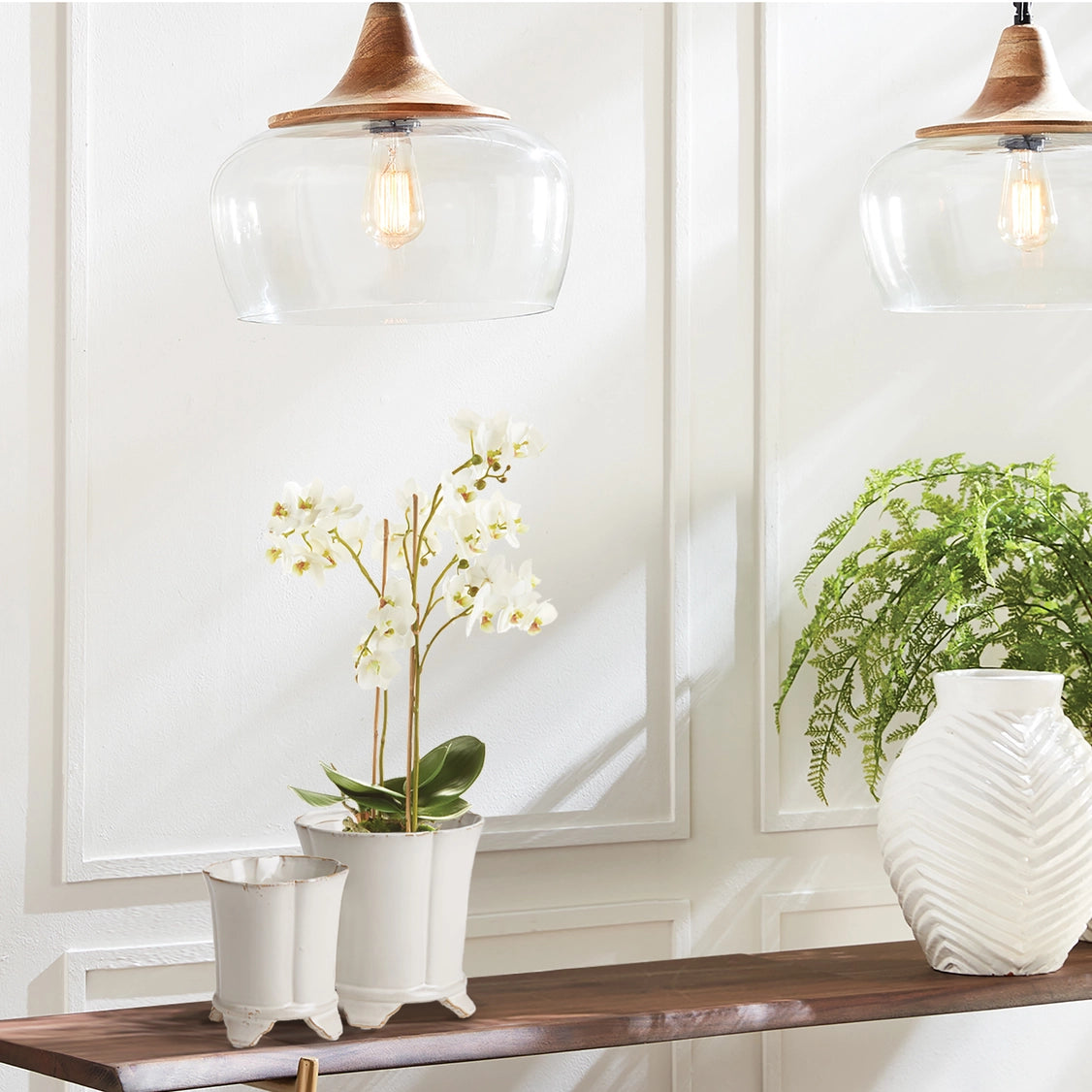 Phalaenopsis Orchid Drop - 20