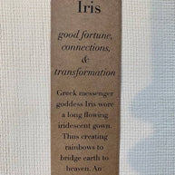 CSF Ceramics Tray: Iris