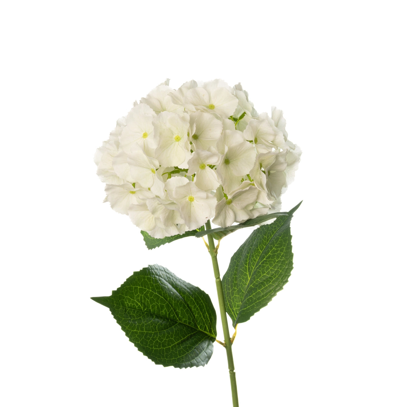 Mills Floral Company Real Touch Hydrangea