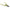 Orange Grove Secateurs - William Morris Design