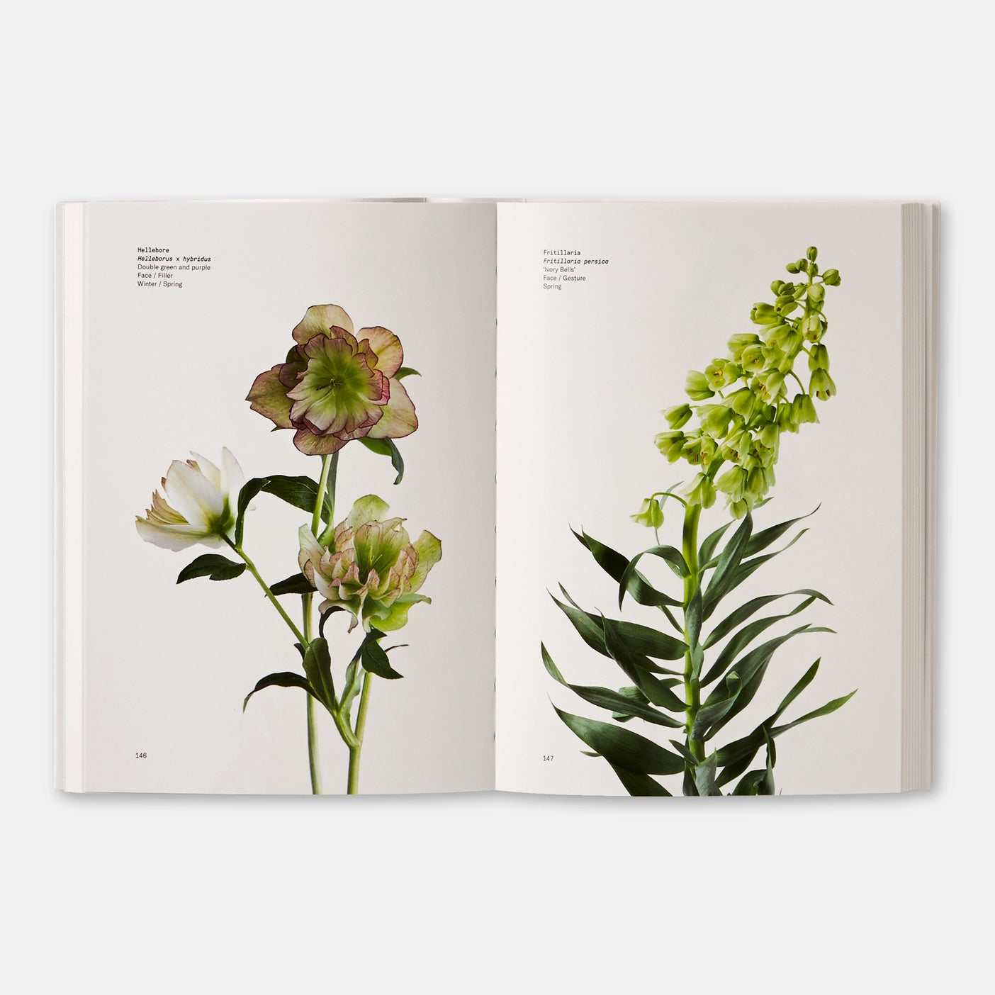 Flower Color Guide - Taylor and Michael Putnam