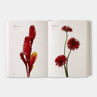 Flower Color Guide - Taylor and Michael Putnam