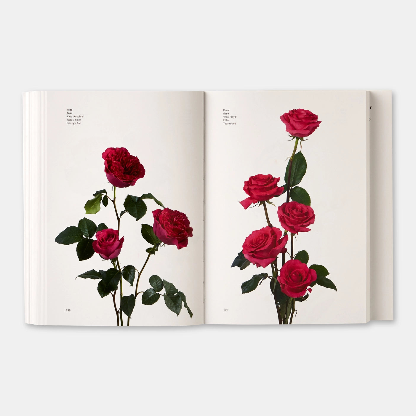 Flower Color Guide - Taylor and Michael Putnam