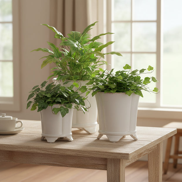 Imogen Pots