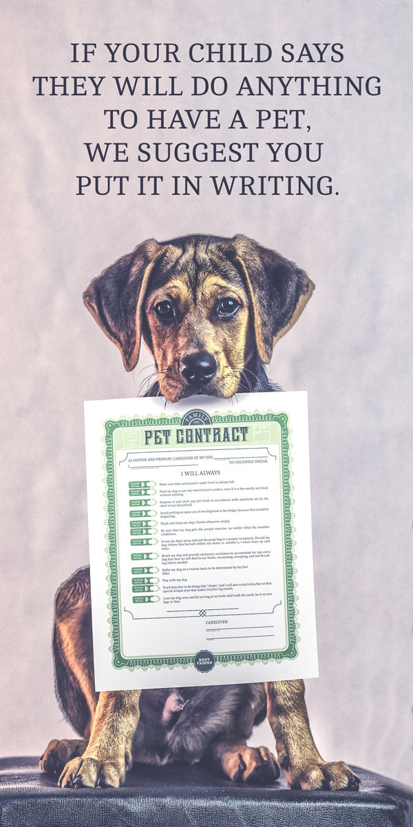 Pet Contract