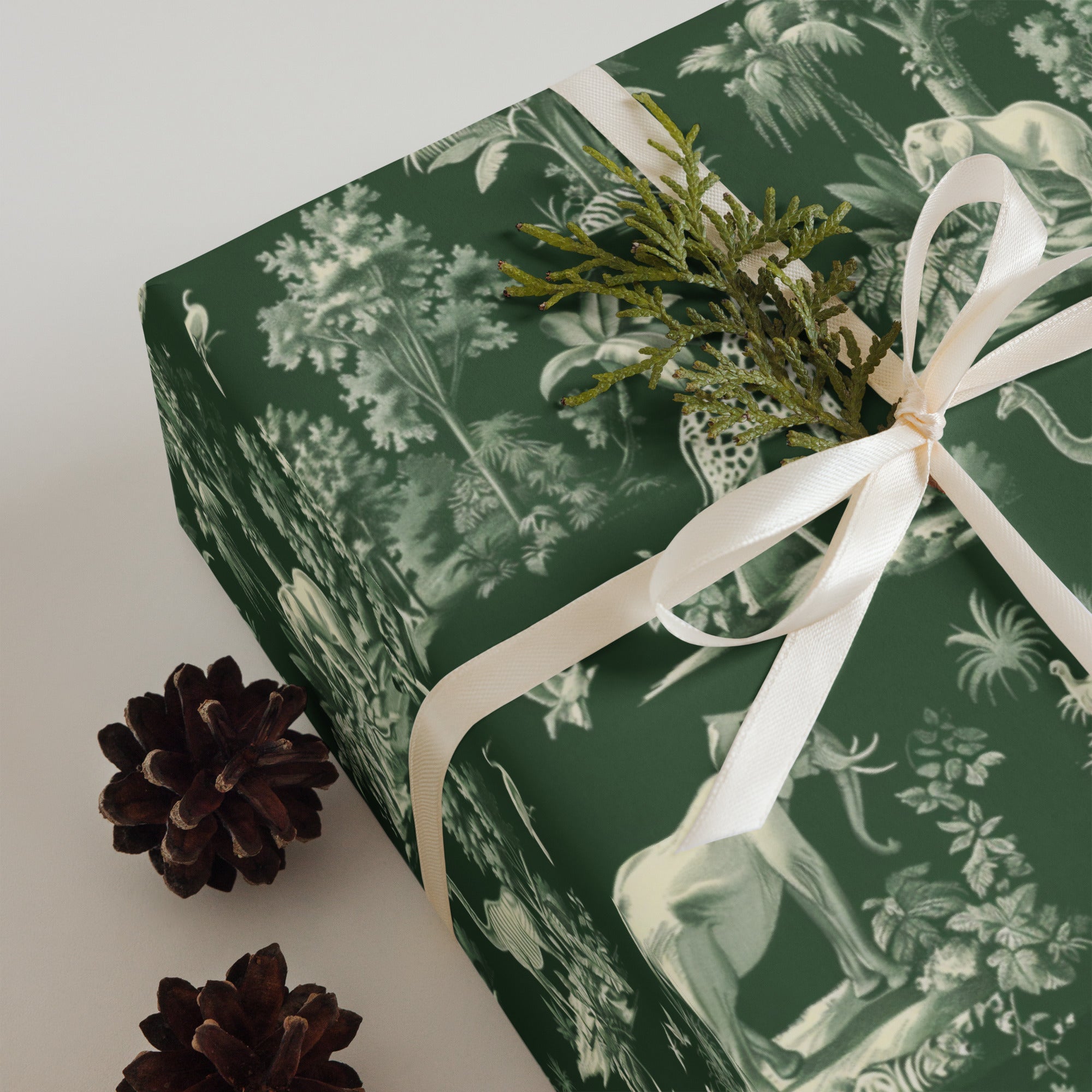 Colanthia Collection - Wrapping Paper