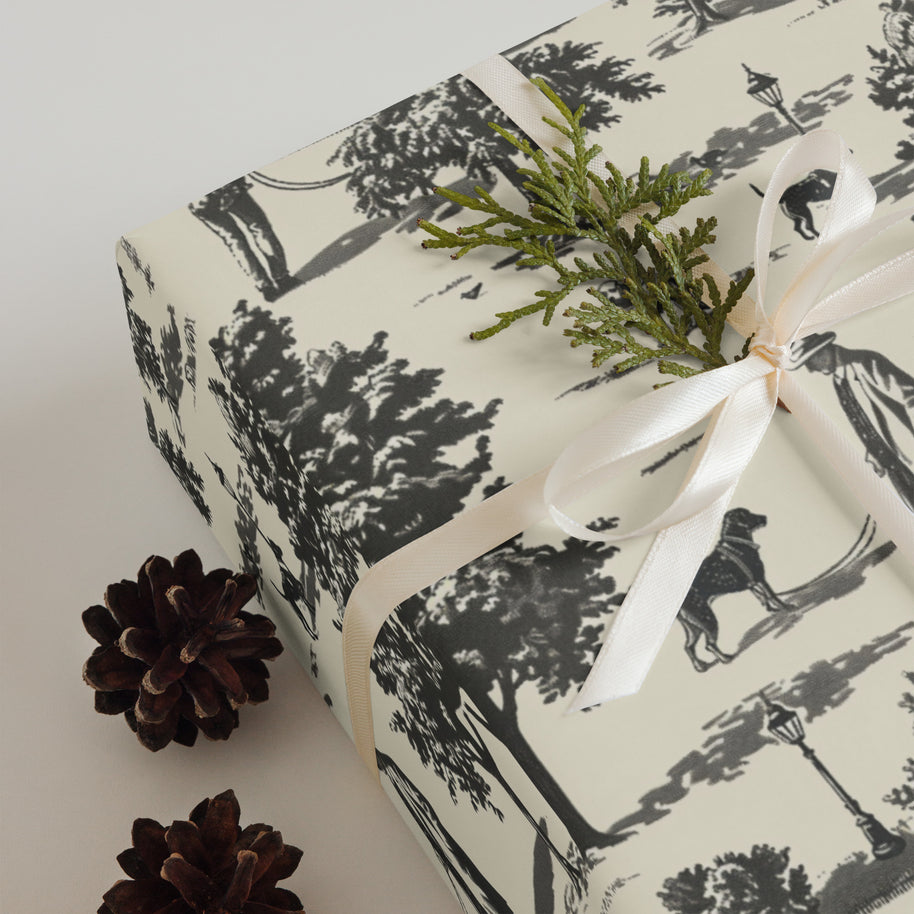 Colanthia Collection - Wrapping Paper