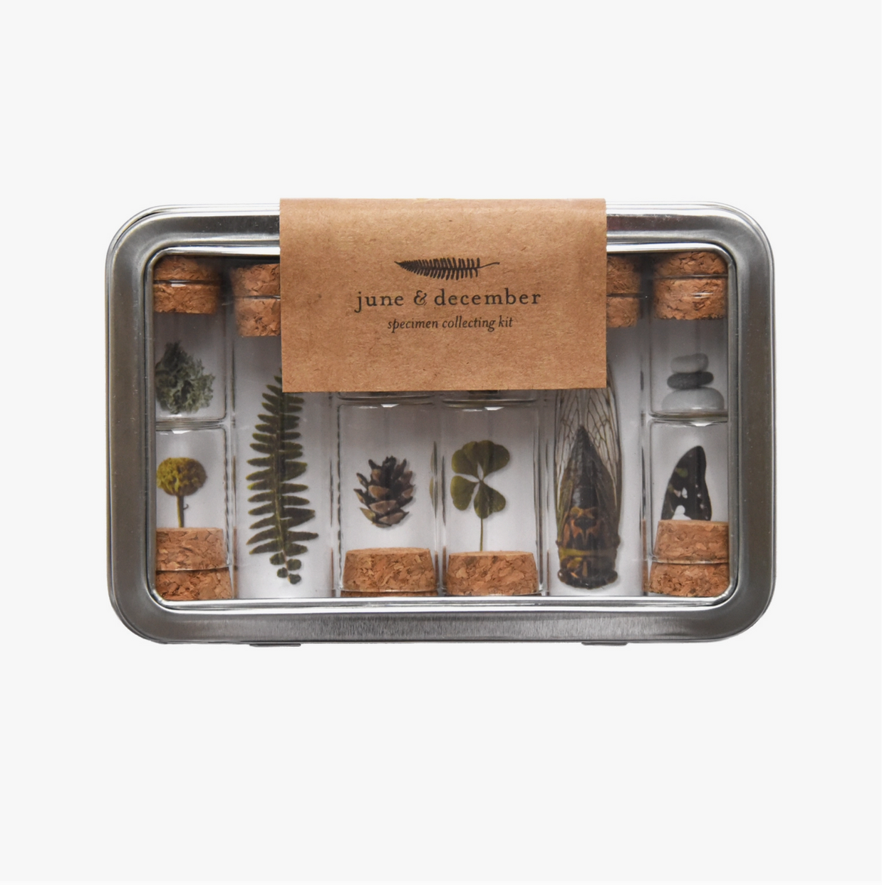 Specimen collecting kit in metal tin with glass vials containing preserved botanical items like ferns, pinecones, and leaves with cork stoppers